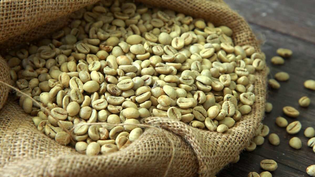 The Complete Guide to Choosing the Best Green Coffee Beans at Wholesale for Your Company